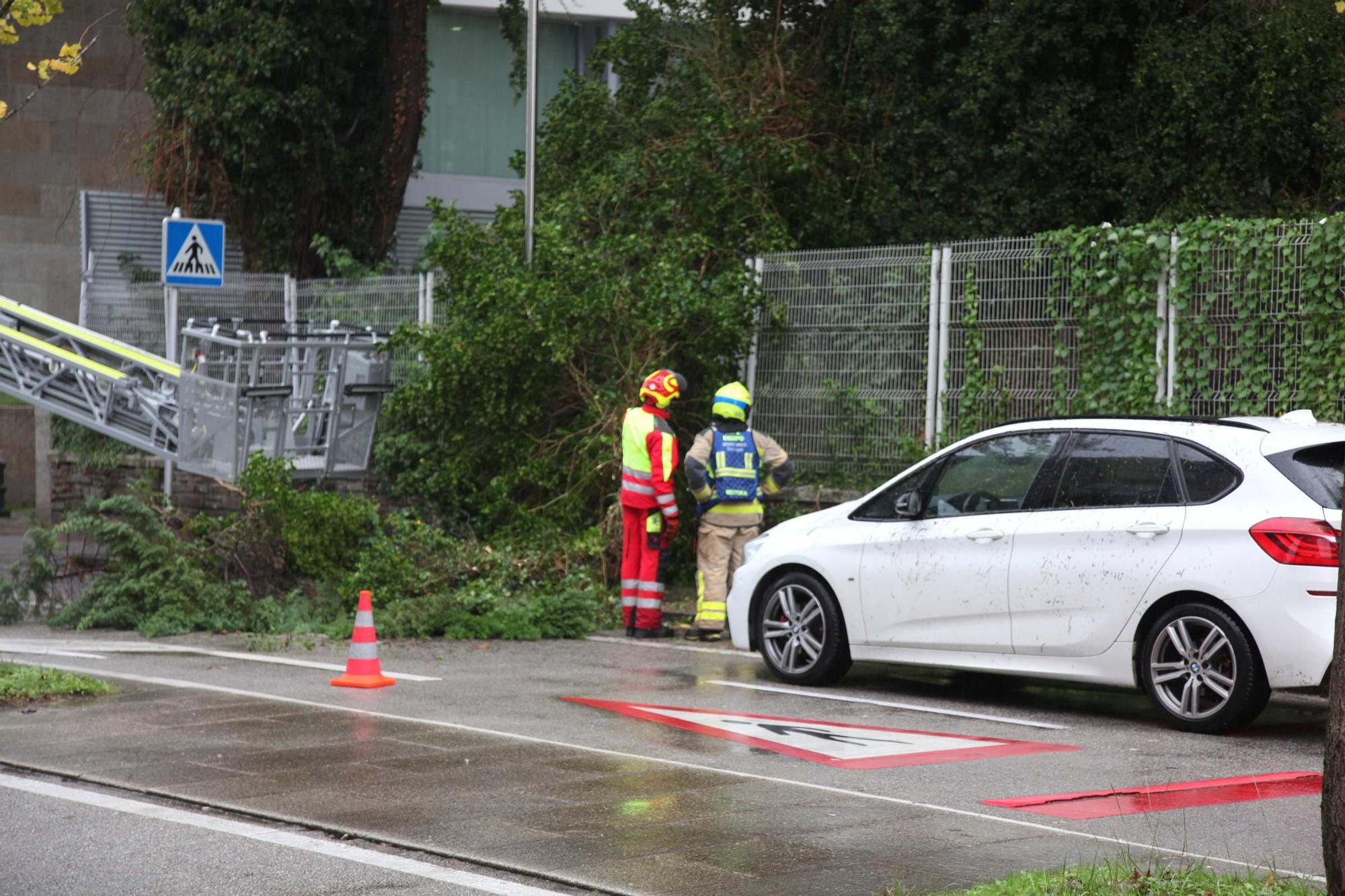 Arbol caido en Hospital Galeras