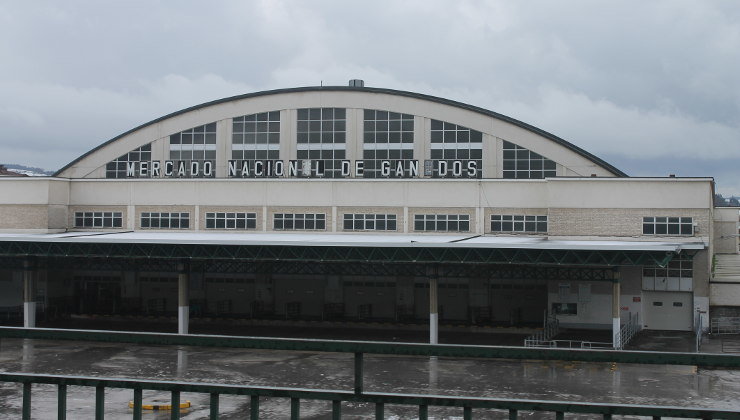 Mercado Nacional de Gando